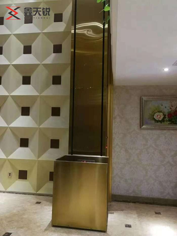 营口残疾人升降机